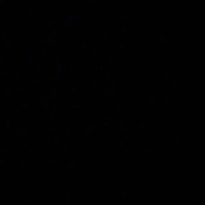 Meet your Posher, Ricardo